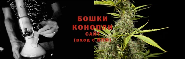 прущие грибы Ижевск