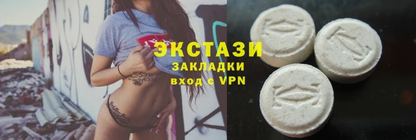 хмурый Арсеньев