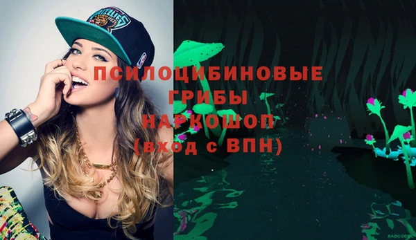 хмурый Арсеньев