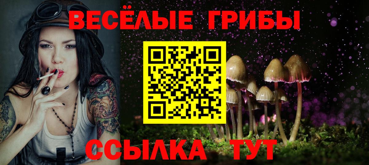 Коломна  даркнет сайт  Вход с VPN  Галлюциногенные грибы MAGIC MUSHROOMS  Псилоцибиновые грибы Psilocybine cubensis 