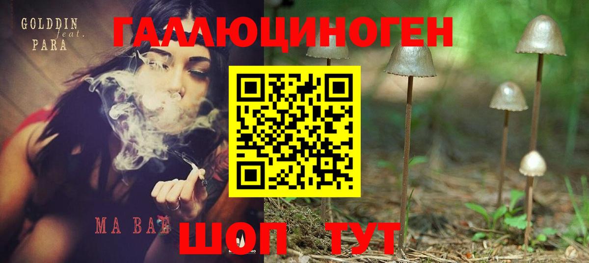 Галлюциногенные грибы мицелий Коломна